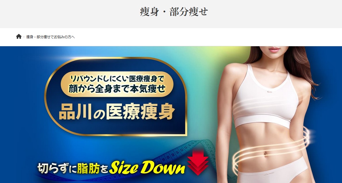 品川スキンクリニック