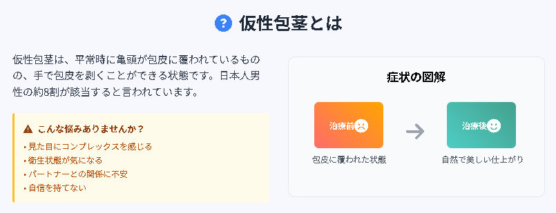 仮性包茎治療の図解